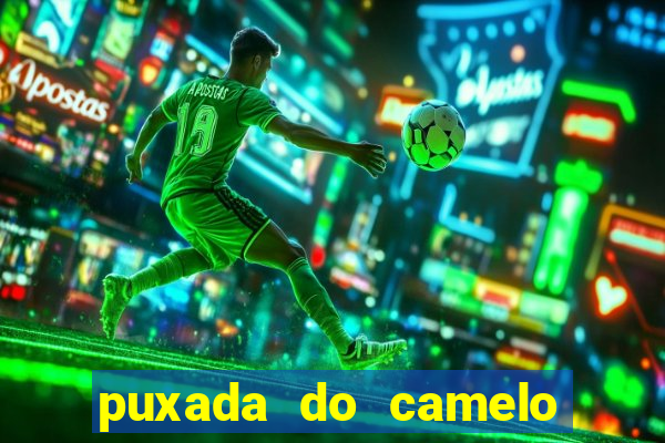 puxada do camelo no jogo do bicho